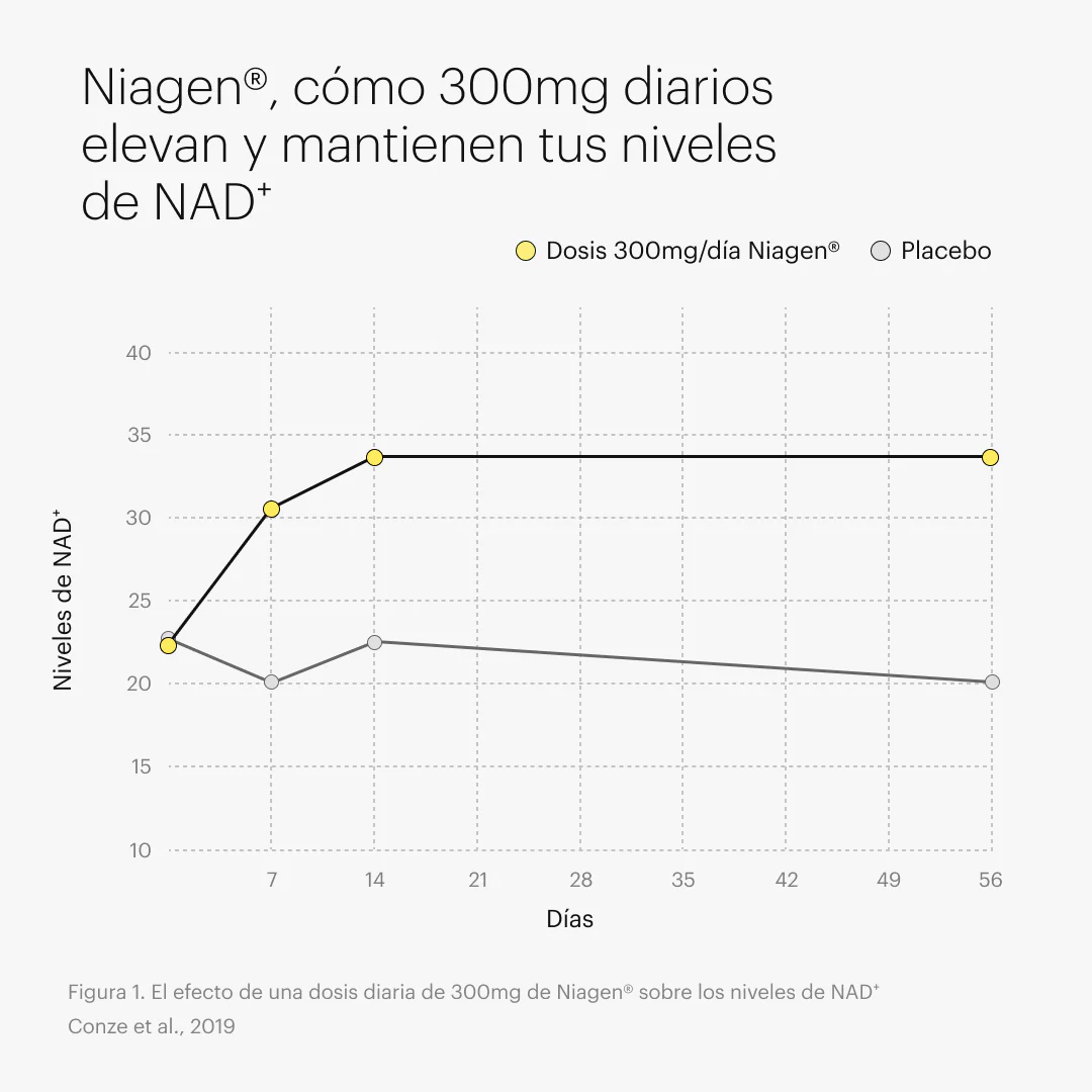 NAD⁺ pro - Image 5